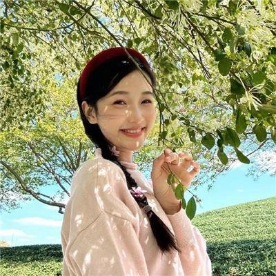 布希妈妈